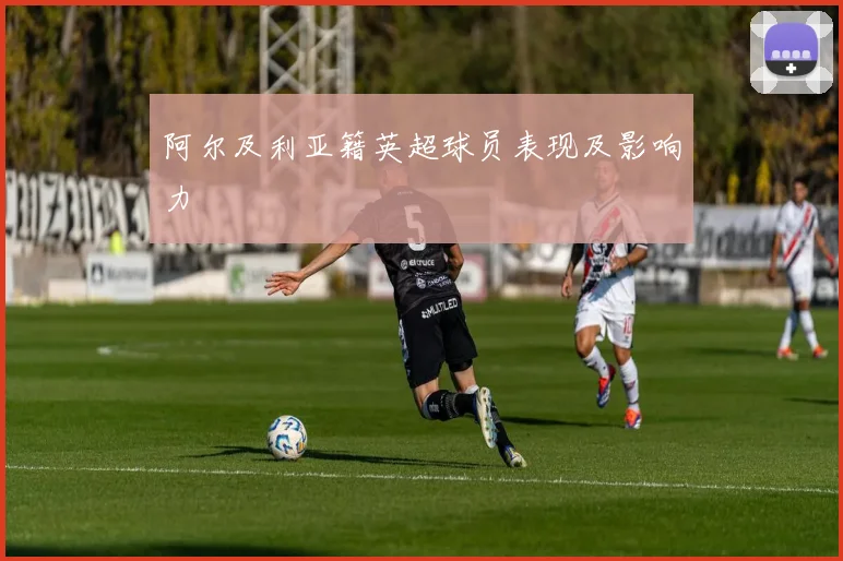 阿尔及利亚籍英超球员表现及影响力